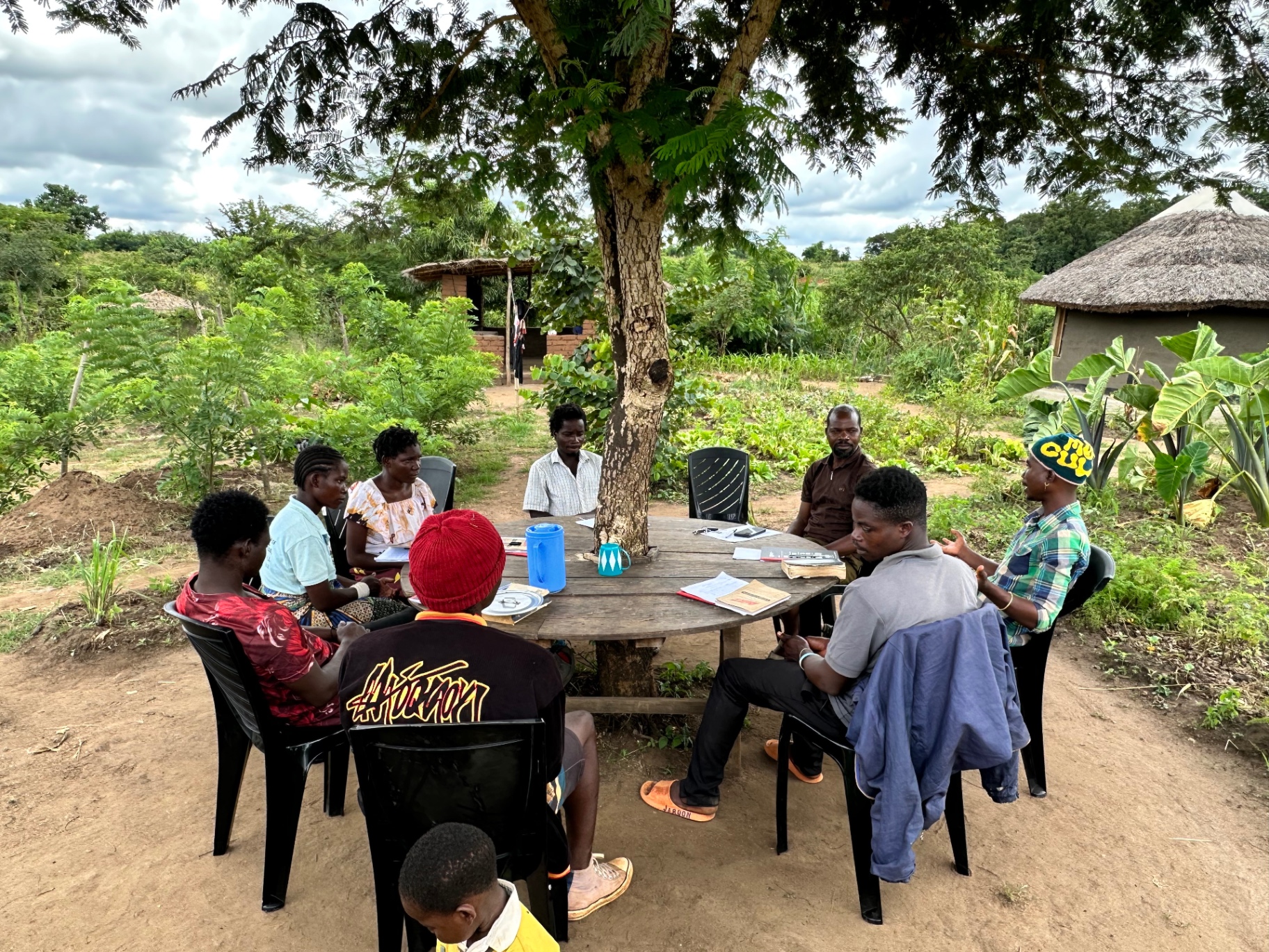Colleagues and community members meeting around a table under a tree, with crops and a thatched building behind
